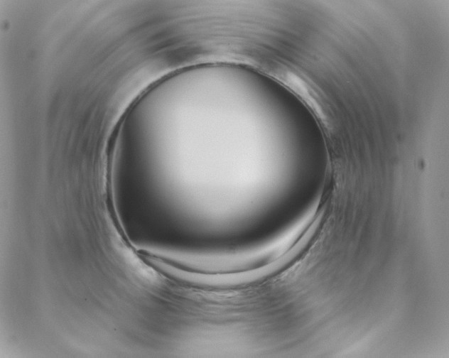 X0000088441140200705221306