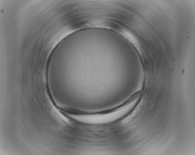 X0000088441141200705221306