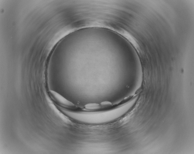 X0000088441142200705221306