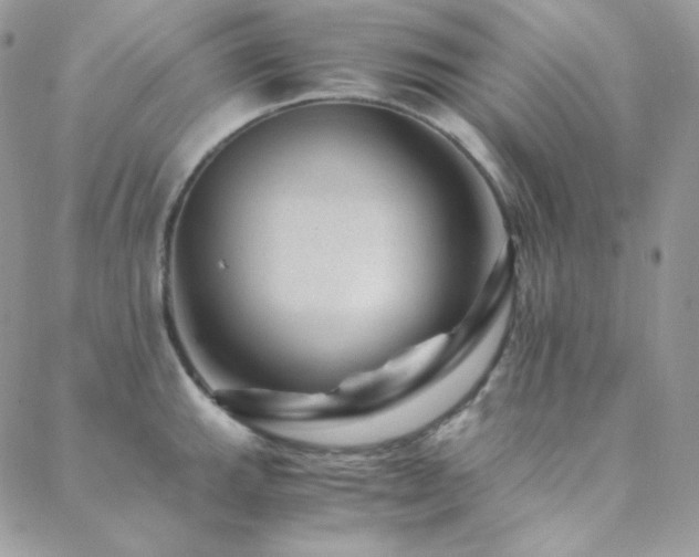X0000088441143200705221306