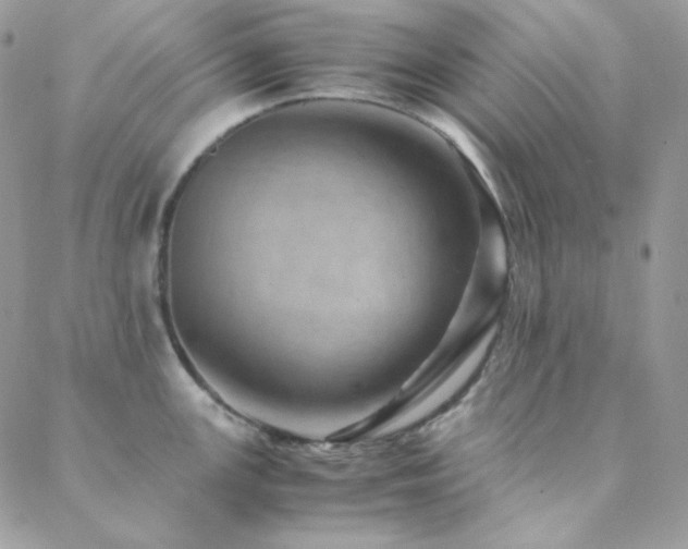 X0000088441147200705221306