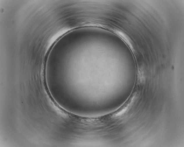 X0000088441149200705221306