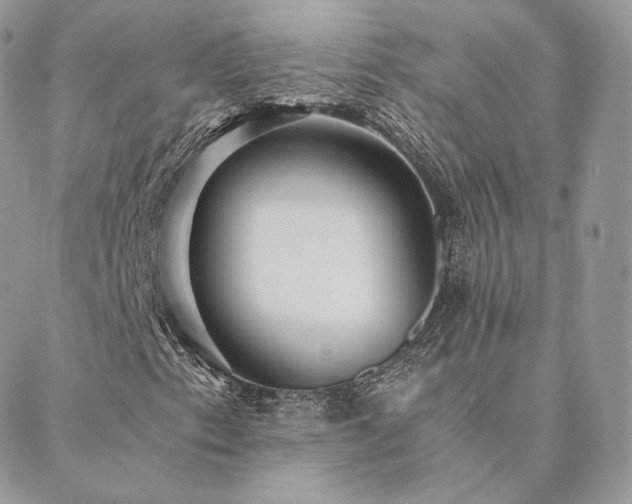 X0000088441153200705221305