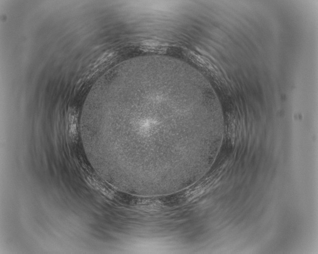 X0000088441154200705221305