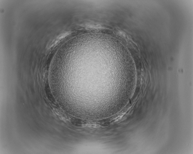 X0000088441157200705221305