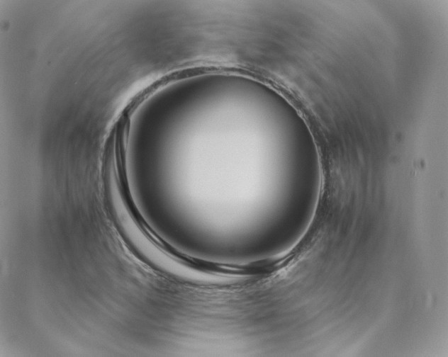 X0000088441168200705221305