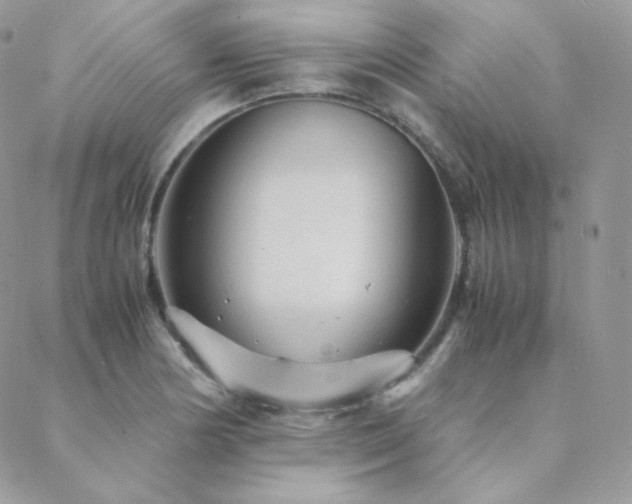 X0000088441178200705221305