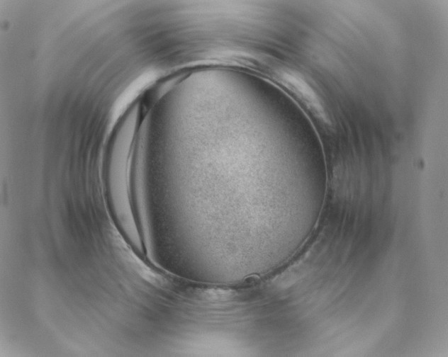X0000088441180200705221305