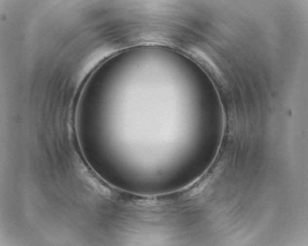 X0000088441182200705221305