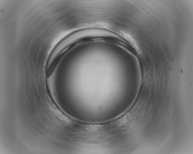 X0000088441184200705221305