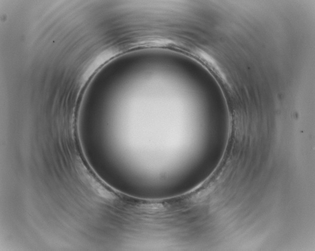 X0000088441186200705221305