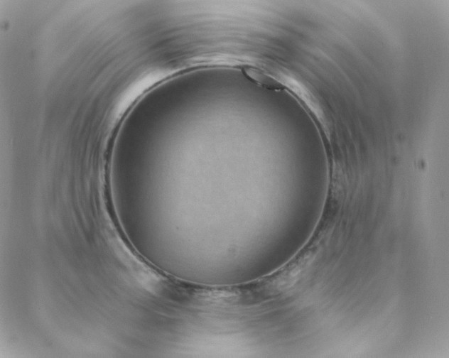 X0000088441187200705221305