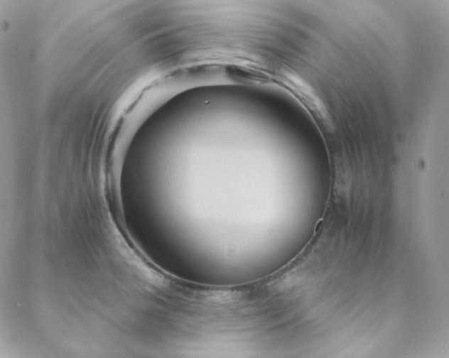 X0000088441188200705221305