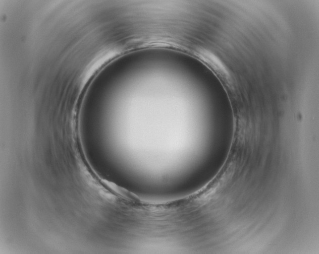 X0000088441190200705221304