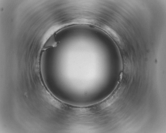 X0000088441192200705221304