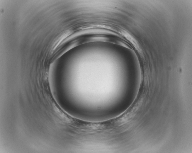 X0000088441193200705221304