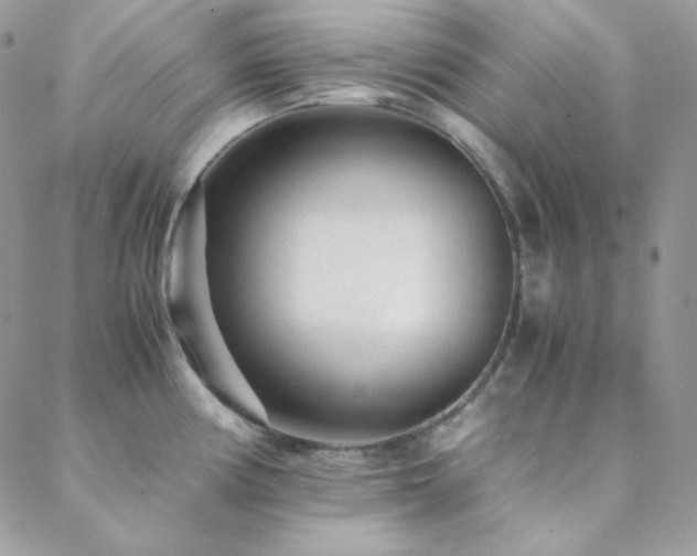 X0000088441194200705221304