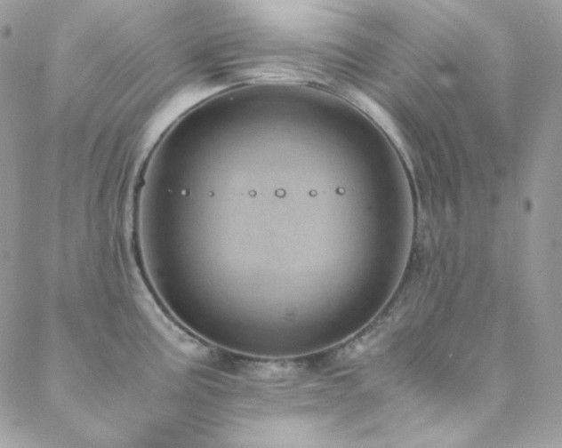 X0000088441195200705221304