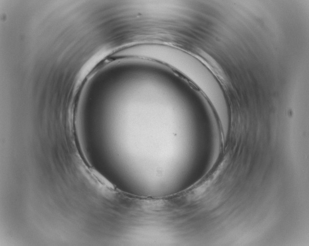 X0000088441196200705221304