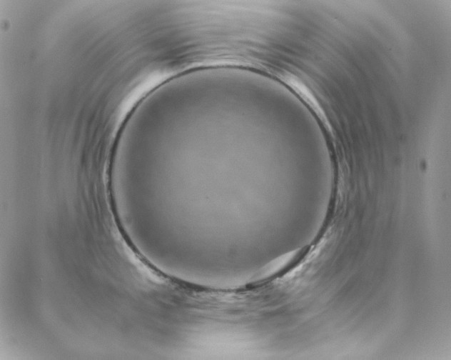 X0000088441197200705221304