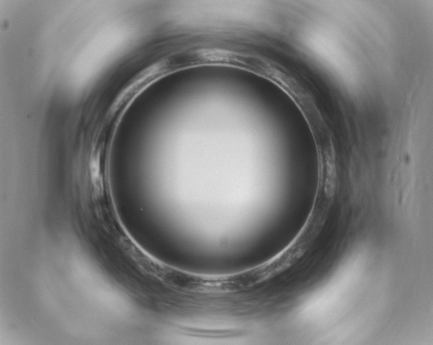 X0000088441198200705221304
