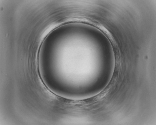 X0000088441199200705221304