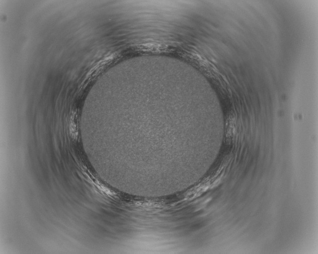 X0000088441202200705221304