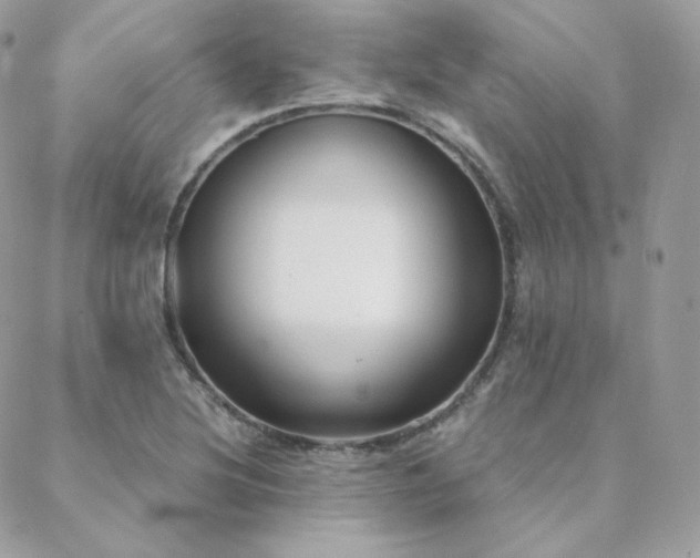 X0000088441220200705221304
