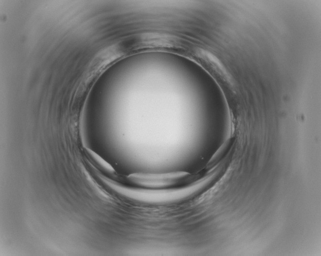 X0000088441225200705221304