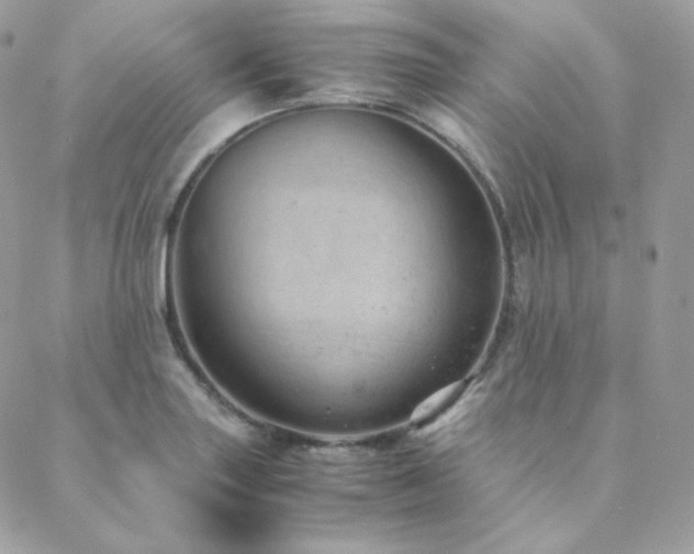 X0000088441227200705221304