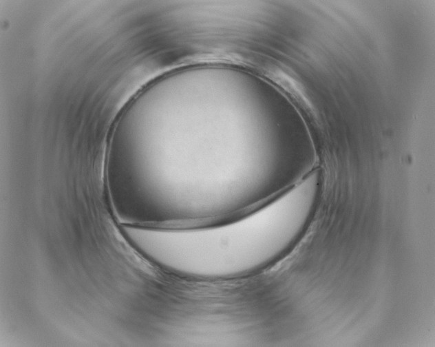 X0000088441228200705221304