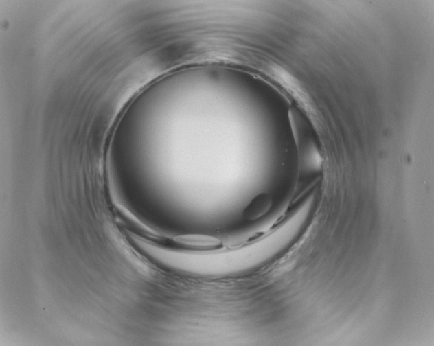 X0000088441234200705221304