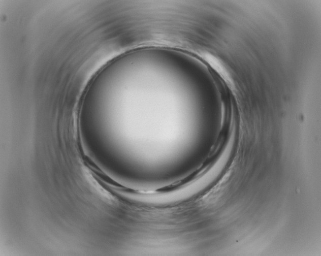 X0000088441238200705221304