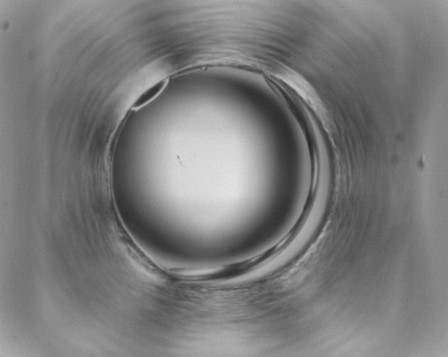 X0000088441242200705221304