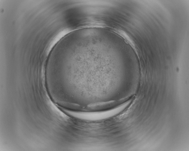 X0000088441243200705221304