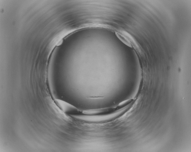 X0000088441244200705221304