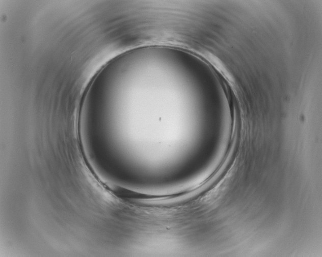 X0000088441246200705221304