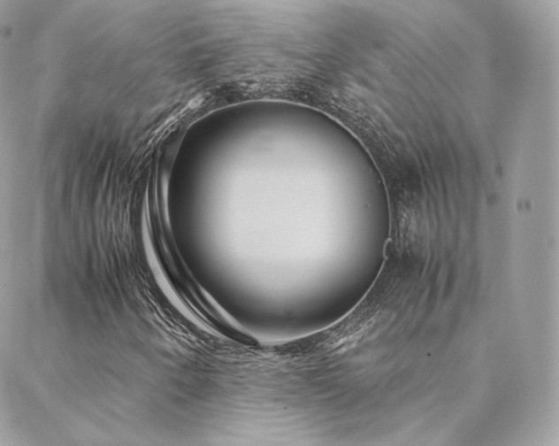X0000088441250200705221303