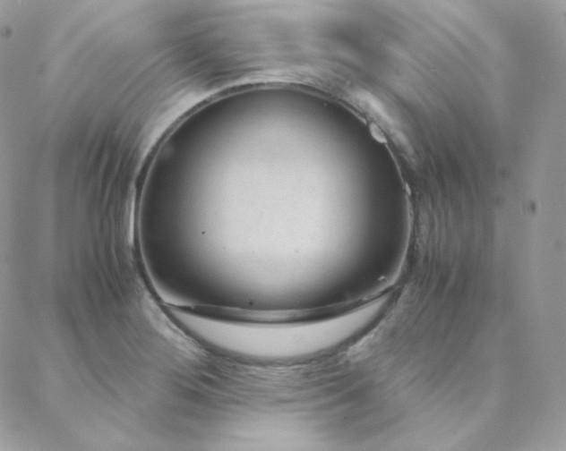 X0000088441276200705221303