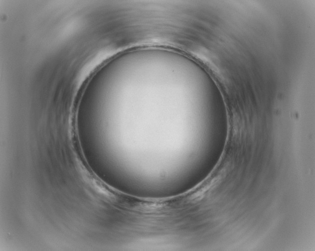 X0000088441278200705221303