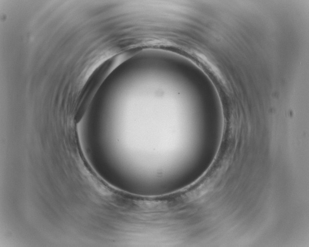 X0000088441281200705221303