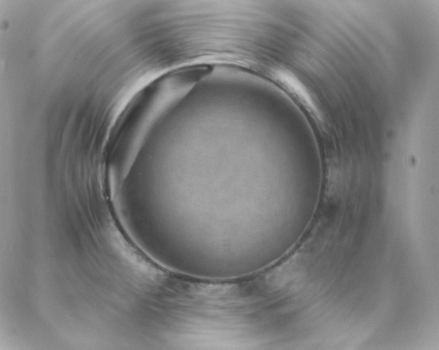 X0000088441284200705221303
