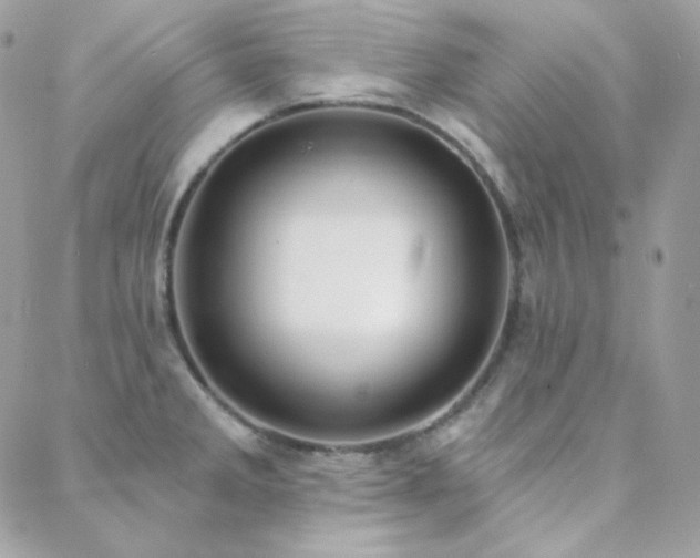 X0000088441285200705221303