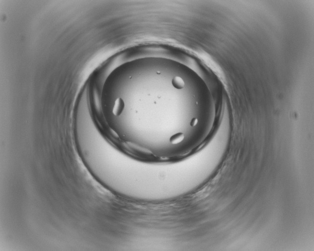 X0000088441287200705221303