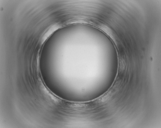 X0000088441290200705221303