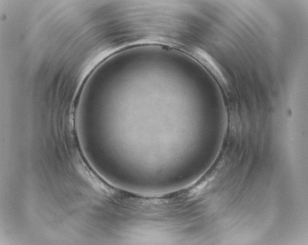 X0000088441292200705221303