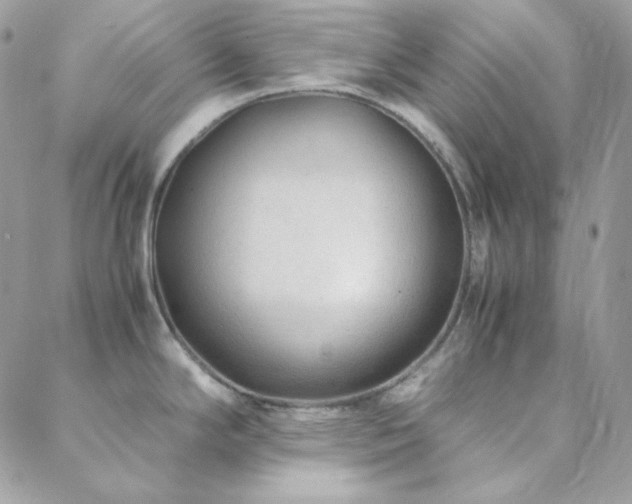 X0000088441294200705221303