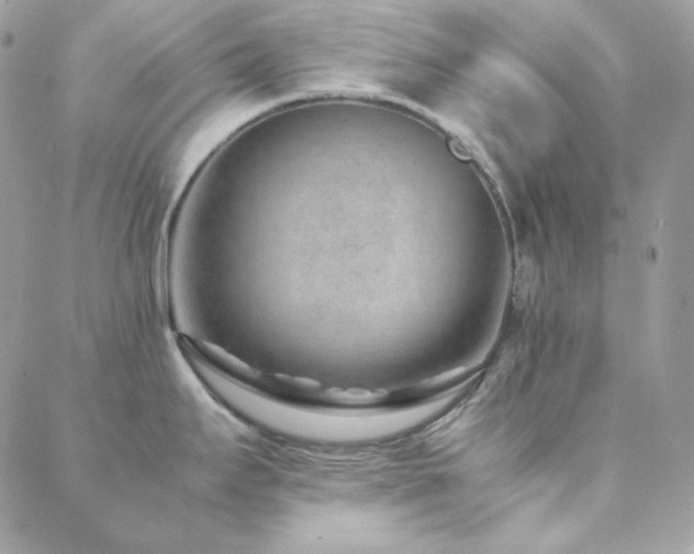 X0000088441295200705221303