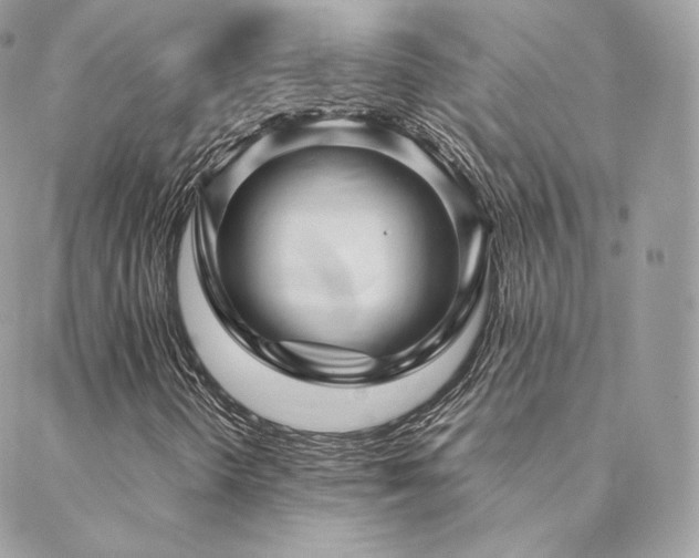 X0000088441298200705221302