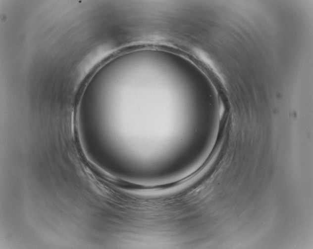 X0000088441320200705221302
